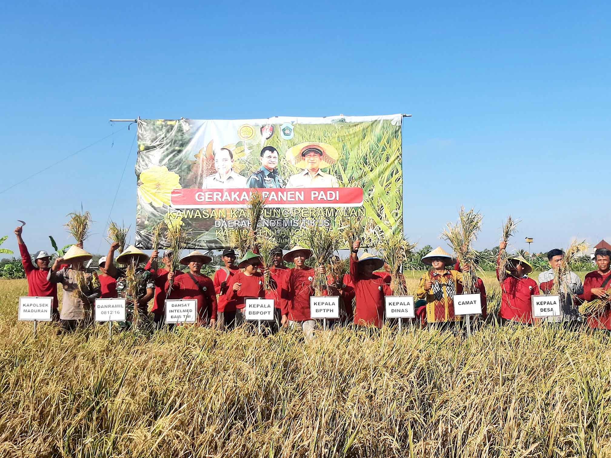 DUKUNG PENINGKATAN PRODUKSI PADI, KEMENTERIAN PERTANIAN PANEN DI LAHAN KAMPUNG PERAMALAN