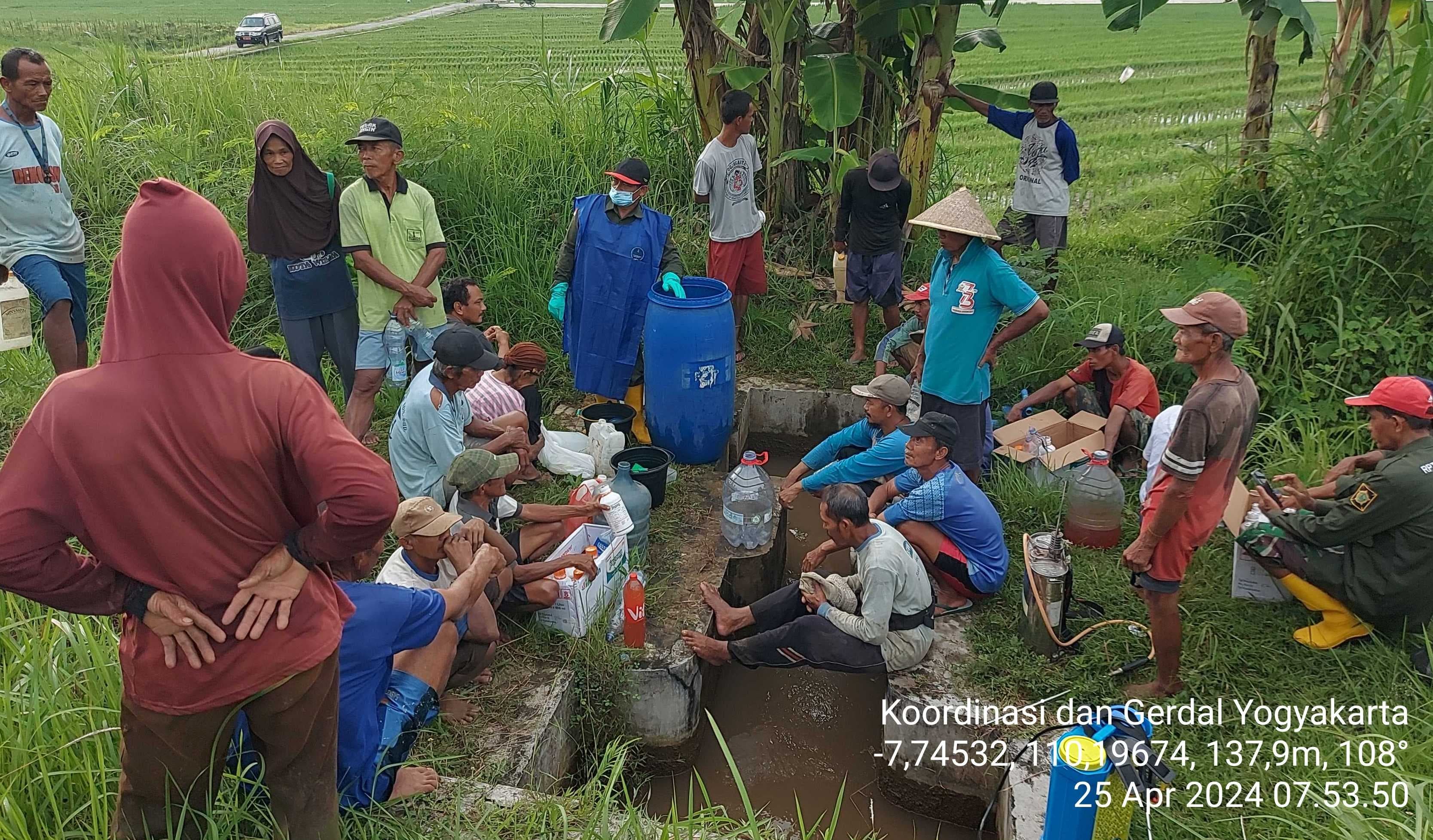 KEMENTERIAN PERTANIAN LAKUKAN GERAKAN PENGENDALIAN HAMA WERENG, PETANI KULON PROGO: KAMI SANGAT TERBANTU