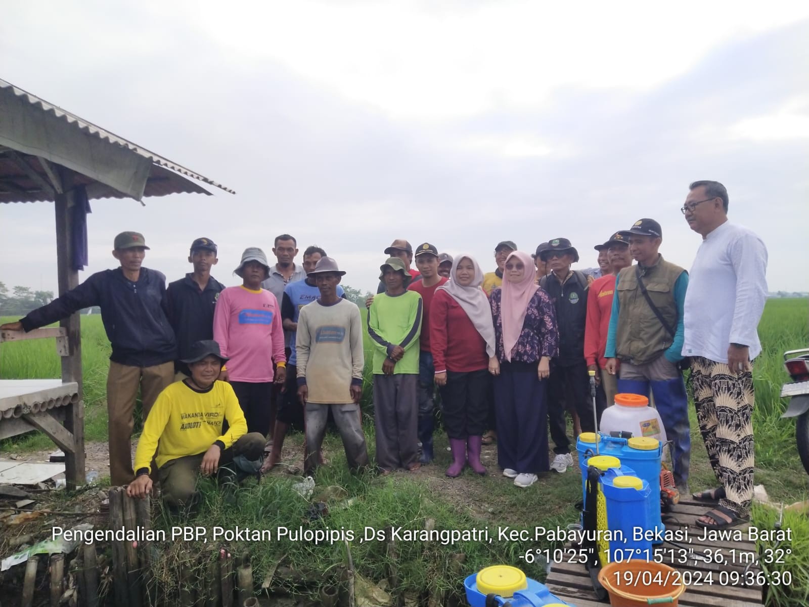 KAWAL PRODUKSI PADI DI BEKASI KEMENTAN ADAKAN BIMBINGAN TEKNIS DAN GERAKAN PENGENDALIAN OPT