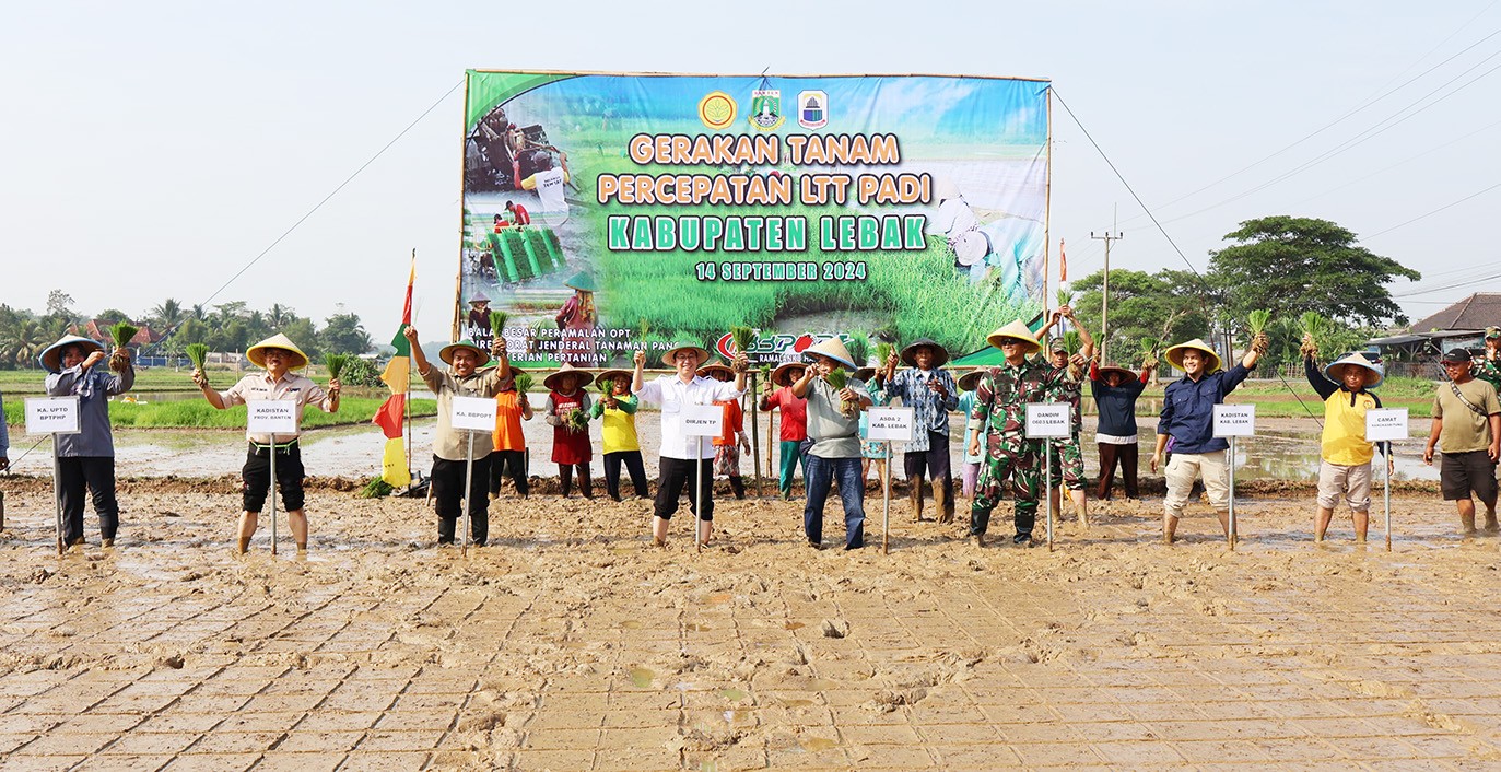 TINGKATKAN PRODUKSI, KEMENTERIAN PERTANIAN LAKUKAN GERAKAN TANAM DAN BIMBINGAN TEKNIS GERDAL OPT DI BANTEN