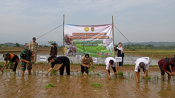 Gerakan Tanam Lahan Irigasi Perpompaan di Cikadu, Cibatu, Purwakarta