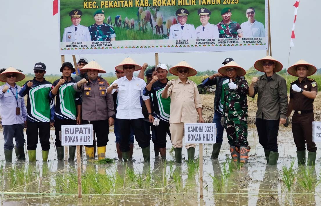 GERAKAN PERCEPATAN TANAM PADI DI ROKAN HILIR, KEMENTAN DORONG LTT RIAU CAPAI TARGET NASIONAL