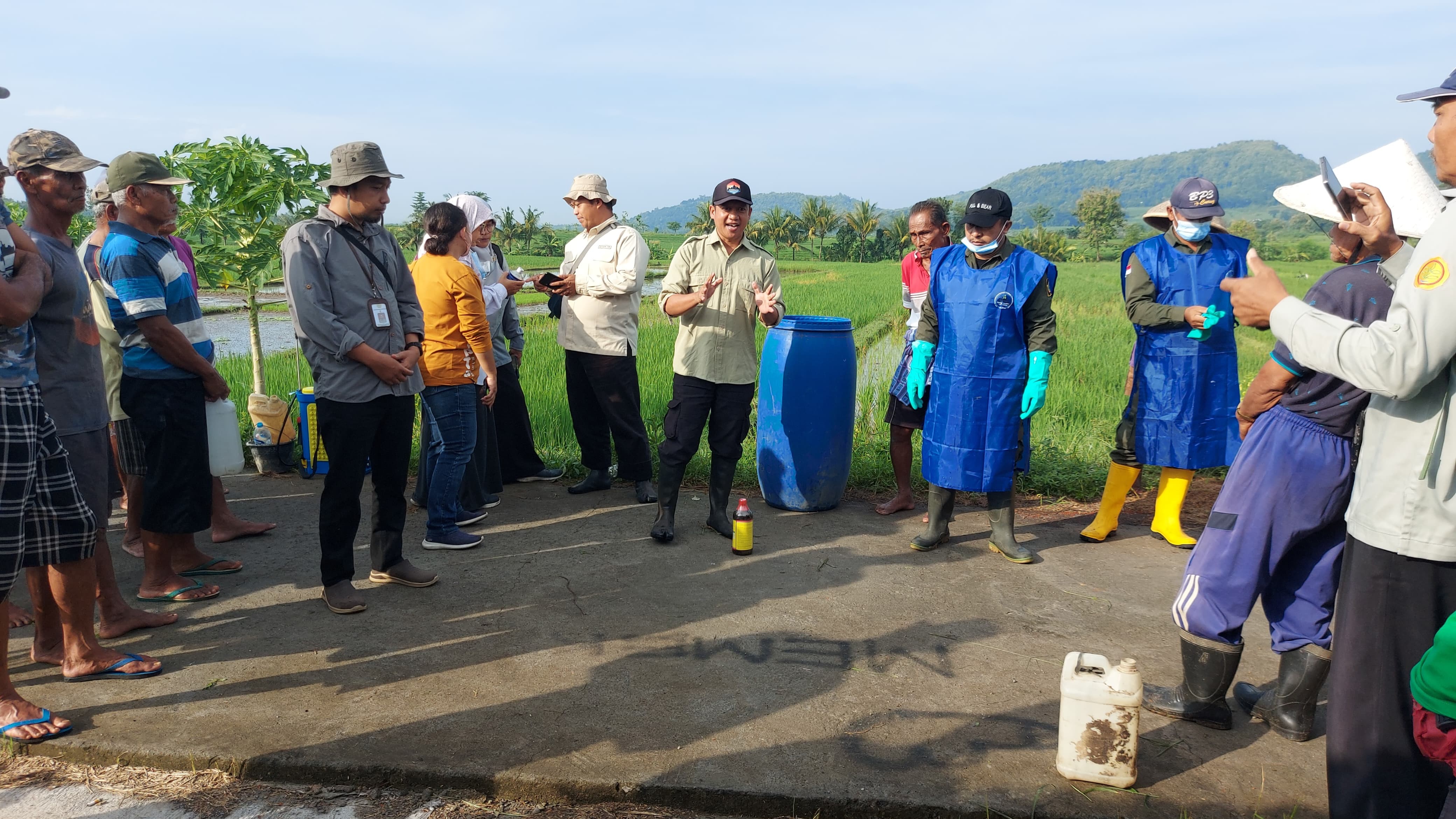 KEMENTERIAN PERTANIAN GENCARKAN GERAKAN PENGENDALIAN WERENG DI DIY