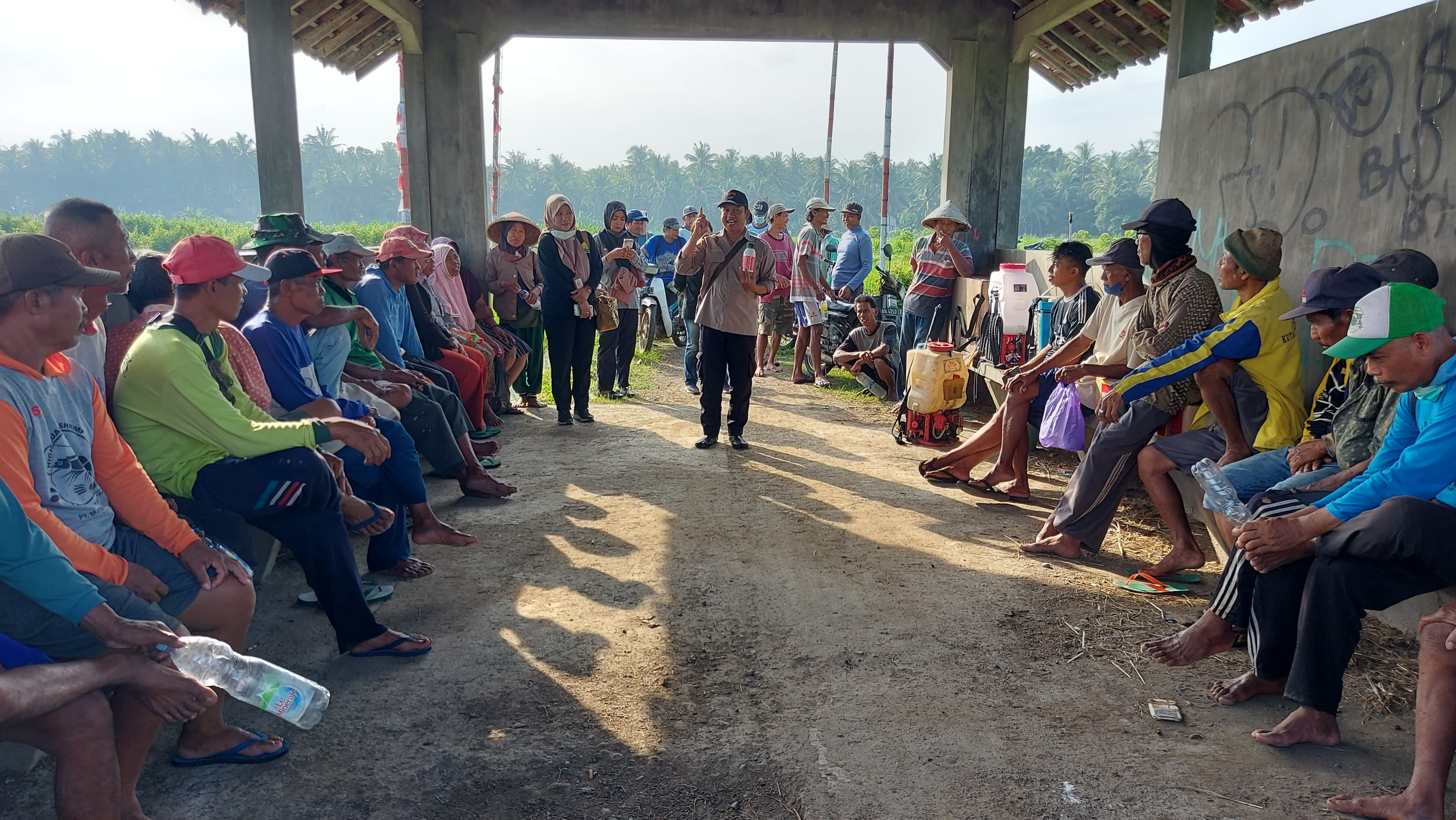 KEMENTERIAN PERTANIAN DAN PEMERINTAH YOGYAKARTA LAKUKAN GERAKAN BERSAMA KENDALIKAN HAMA WERENG